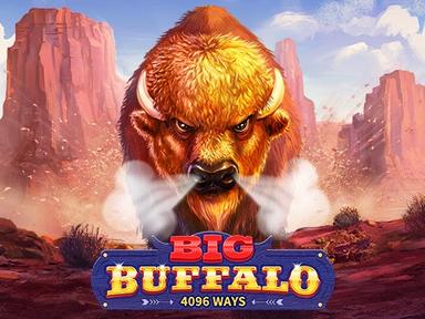 bigbuffalo_Horizontal.jpg