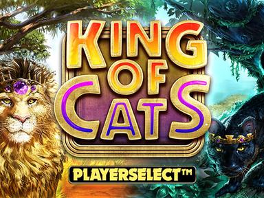 kingofcats_Horizontal.jpg
