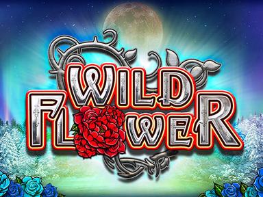 wildflower_Horizontal.jpg
